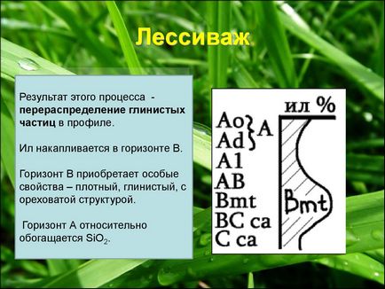 Каква е класификацията на опасност