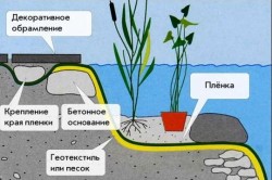 Лято стъпка по стъпка ръководство, езерце