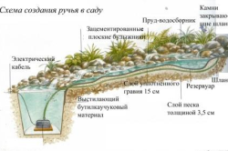 Лято стъпка по стъпка ръководство, езерце