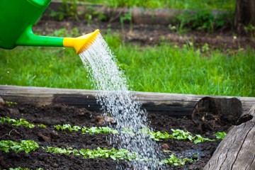 Ние поливане на градината със собствени ръце, инструменти и капацитет