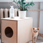 Къща котка (избор на снимка и възможности за неговото производство)