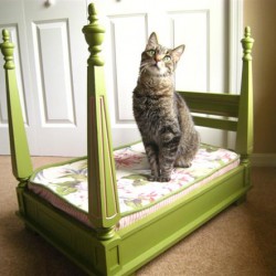 Малка къща за котка с ръцете си триизмерни чертежи, инструкции стъпка по стъпка, снимки, видео