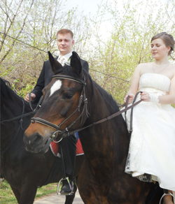 коне за доставка за празниците, корабни коне за сватба