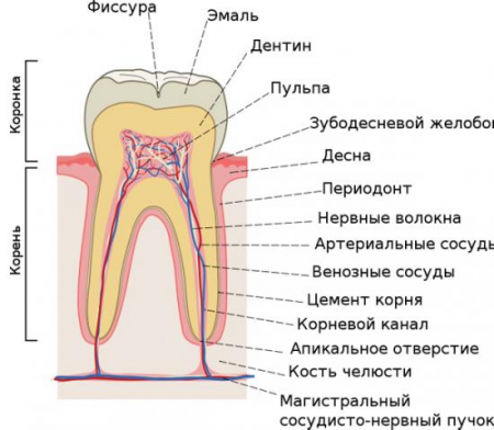 Ако имате зъбобол, че може да се направи у дома