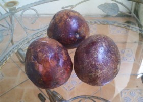 Плодове Passionfruit полезни свойства, снимки