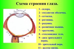 Окото е подуто и зачервено