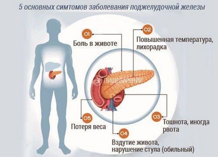 Как боли панкреаса при хора основните симптоми