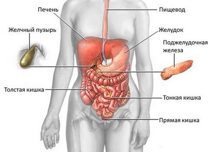 Как боли панкреаса при хора основните симптоми