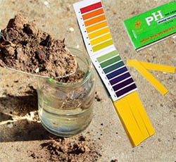 Как да променя киселинността на почвата