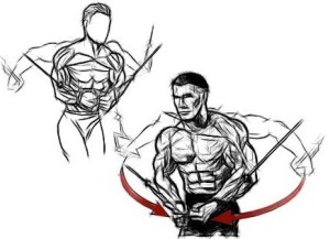 Как да се изгради вътрешността на гръдните мускули - световен обучение