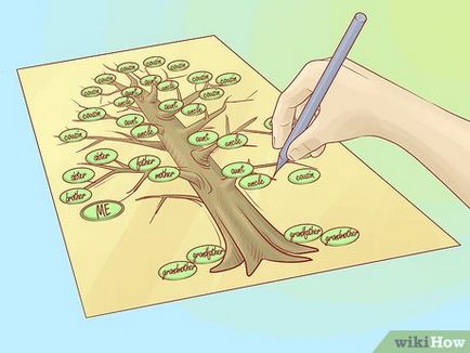 Как да се направи родословно дърво