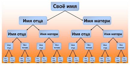 Как да се направи родословно дърво - диаграма рисунка родословие, дизайн оформление в незапълнени