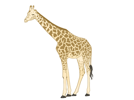 Как да се направи жираф молив на етапи за деца, LS