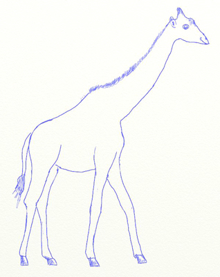 Как да се направи жираф, жирафи етапа на изтегляне молив