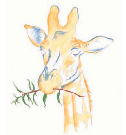 Как да се направи цветни моливи жираф в етапа