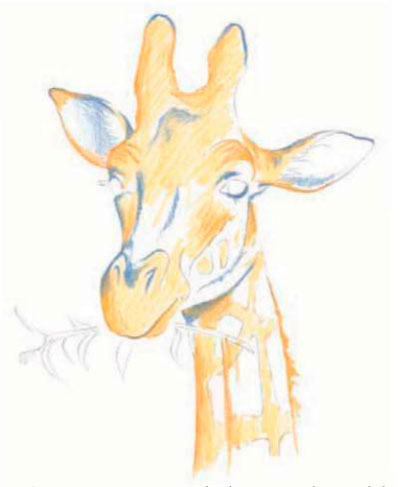 Как да се направи цветни моливи жираф в етапа