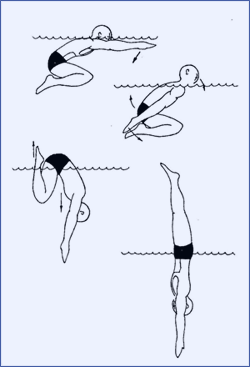 Как да се научите да се потопите в басейна и открити води в правилната техника, скачайки от камък