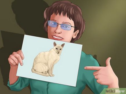 Как да се намери липсващата котка