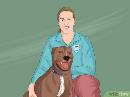 Как да не се даде възможност кучета до вашата морава
