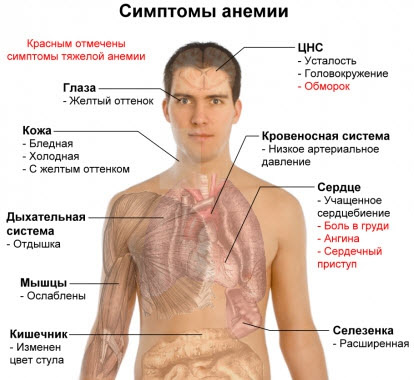 Какво проверка, за да премине, когато през цялото време merznesh