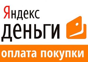 Как да се плащат данъци чрез интернет страницата на Федералната данъчна служба, WebMoney, Yandex пари, Банка ДСК