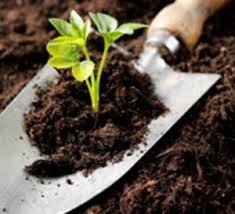 Как да определя състава на почвата, в дома