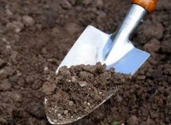 Как да се определи вида на почвата в градината