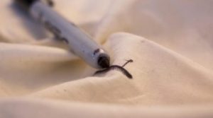 Как да се измие писалка с бели и цветни дрехи