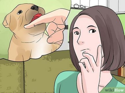 Как да се отбие на вашето куче да хапе другите хора