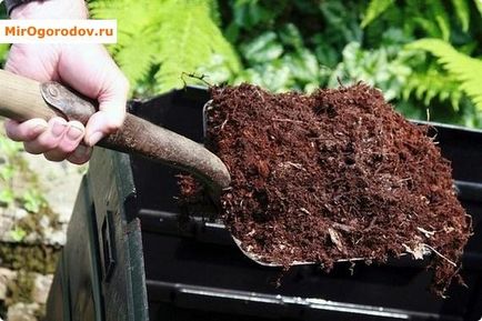 Как да подкиселява почвата - топ 4 начини