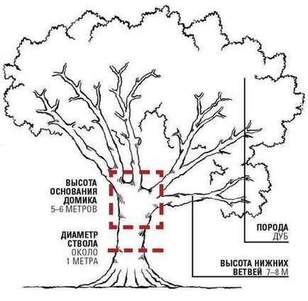 Как да се изгради едно дърво къща за деца със собствените си ръце