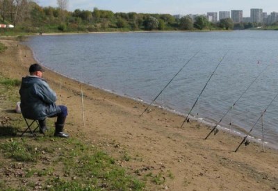 Как да хвана голям шаран съвети и тайни професионалисти