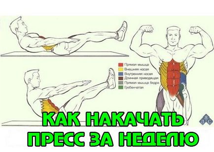 Как да се залюлее на пресата мъжете у нас на снимката (вдясно) Как да се люлее в дома пресата мъже снимките на