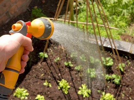 Как да се организира поливане на градината със собствените си ръце и колко често трябва да се напоява градината