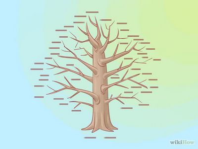 Как да си направим родословно дърво на семейството