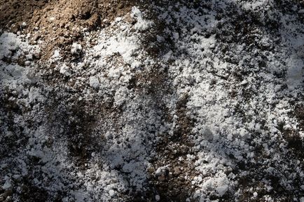 Независимо определя състава и киселинността на почвата, без да се прибягва до химическа лаборатория (показатели) Независимо определя състава и киселинността на почвата, без да се прибягва до лабораторни услуги химически