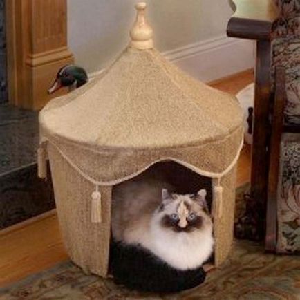 Как да си направим къща за снимка на котка