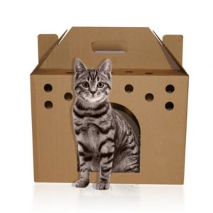 Как да си направим къща за котката от кутията и какви са ползите от него
