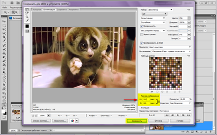 Как SIFCO в Photoshop създаване на GIF-анимация от видео, бяла прозорци