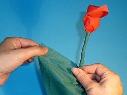 Как да си направим цветя от салфетки с ръцете си, в клуба - Samodelkin