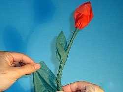 Как да си направим цветя от салфетки с ръцете си, в клуба - Samodelkin