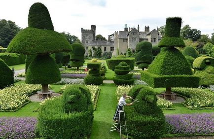 Как да създадете Topiary