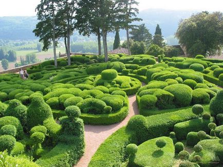 Как да създадете Topiary