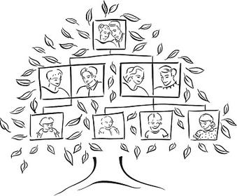 Как да си направим родословно дърво
