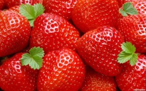 Как да създадете ягоди в оранжерия бизнеса