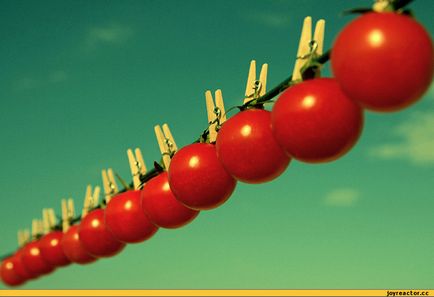 Как да изберем домати, как да се съхранява и използва
