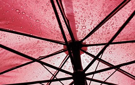 Как да изберем чадър сгъваем чадър на траен за жени и мъже от дъжда - коя фирма е по-добре