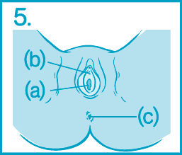 Как да се поставянето на тампон - инструкции за това как да използвате тампони, въведете тампон във вагината