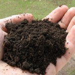 Как подкиселена почвата