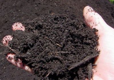 Киселинността на почвата, натуралното земеделие